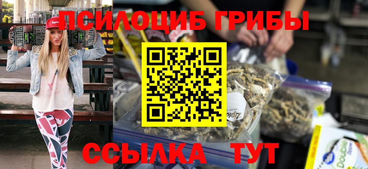 Баксан  Псилоцибиновые грибы мицелий  Вход с VPN  Псилоцибиновые грибы мицелий 